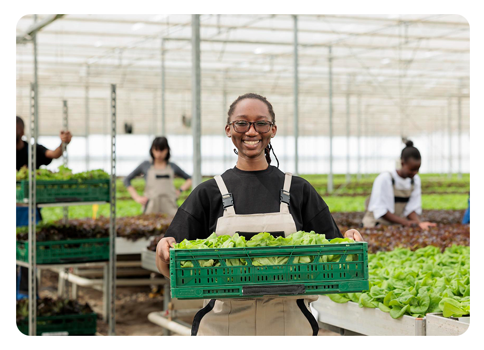 African agribusiness farming